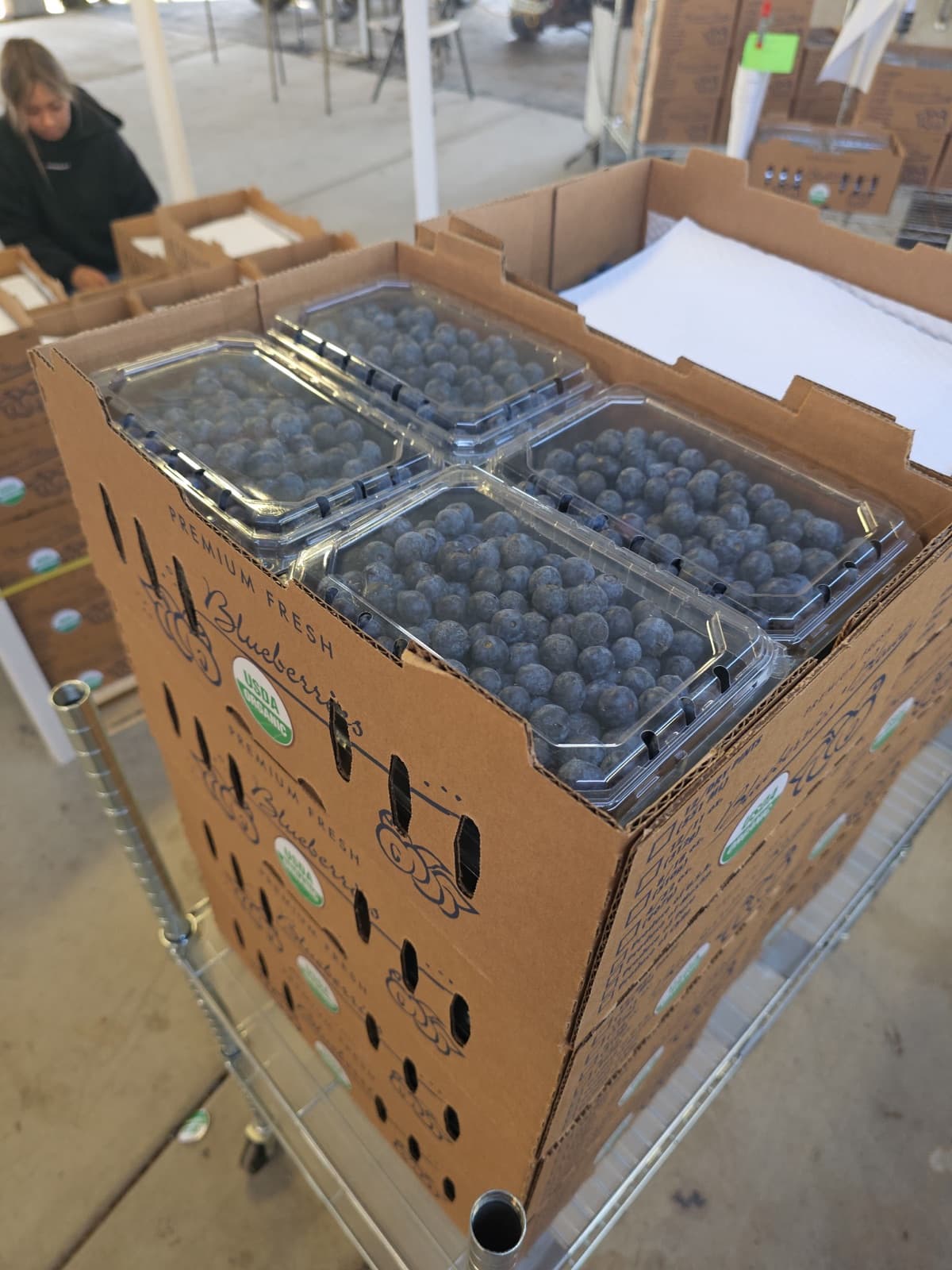 Box of 18 oz organic blueberry clamshells