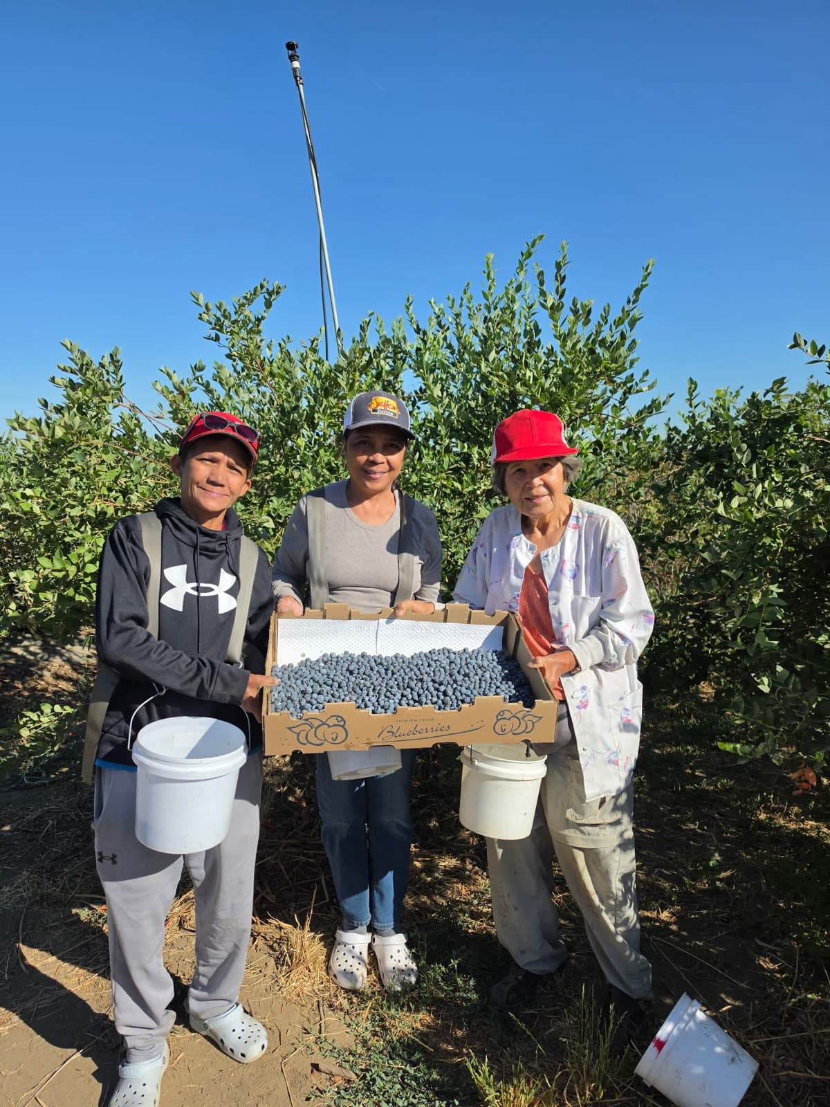 The EZM family holding a tray of freshly picked blueberries